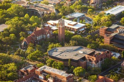 Master of International Business at University of Florida